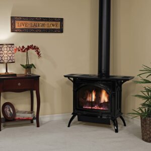 Stock Image - American Hearth - Spirit Gas Stoves - Direct-Vent Cast Iron Stoves (DVP) American Hearth - Builders Materials