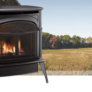 Stock Image - Vermont Castings Intrepid Direct Vent Gas Stove Vermont Castings Gas Stove - Builders Materials
