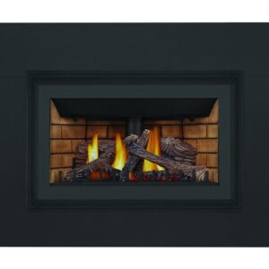 Stock Image - Napoleon - Inspiration™ ZC Gas Fireplace Insert , Natural Gas, Millivolt Ignition Napoleon Hearth Gas Insert - Builders Materials