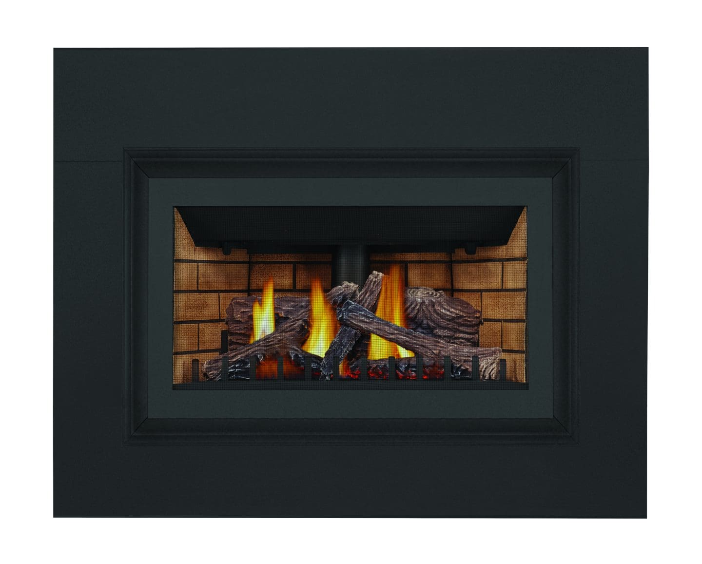 Stock Image - Napoleon - Inspiration™ ZC Gas Fireplace Insert , Natural Gas, Millivolt Ignition Napoleon Hearth Gas Insert - Builders Materials