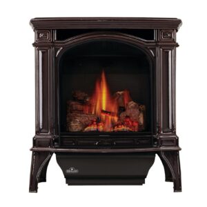 Stock Image - Napoleon - Bayfield™ Direct Vent Stove, Natural Gas, Electronic Ignition - Majolica Brown Napoleon Hearth Gas Freestanding Stove - Builders Materials